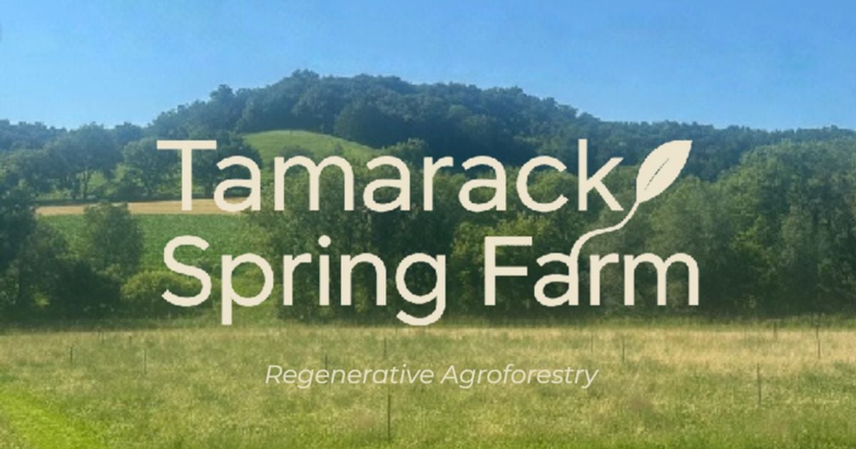 Home [tamarackspringfarm.com]